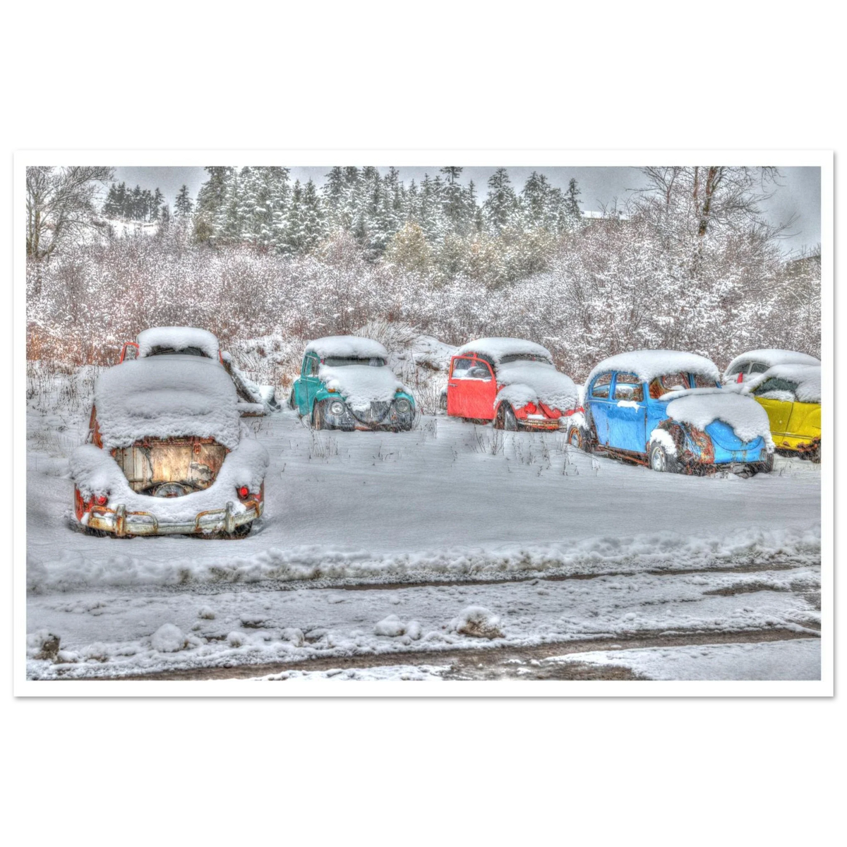 4c05975d-0ff1-4005-8ed7-ef4426f33477