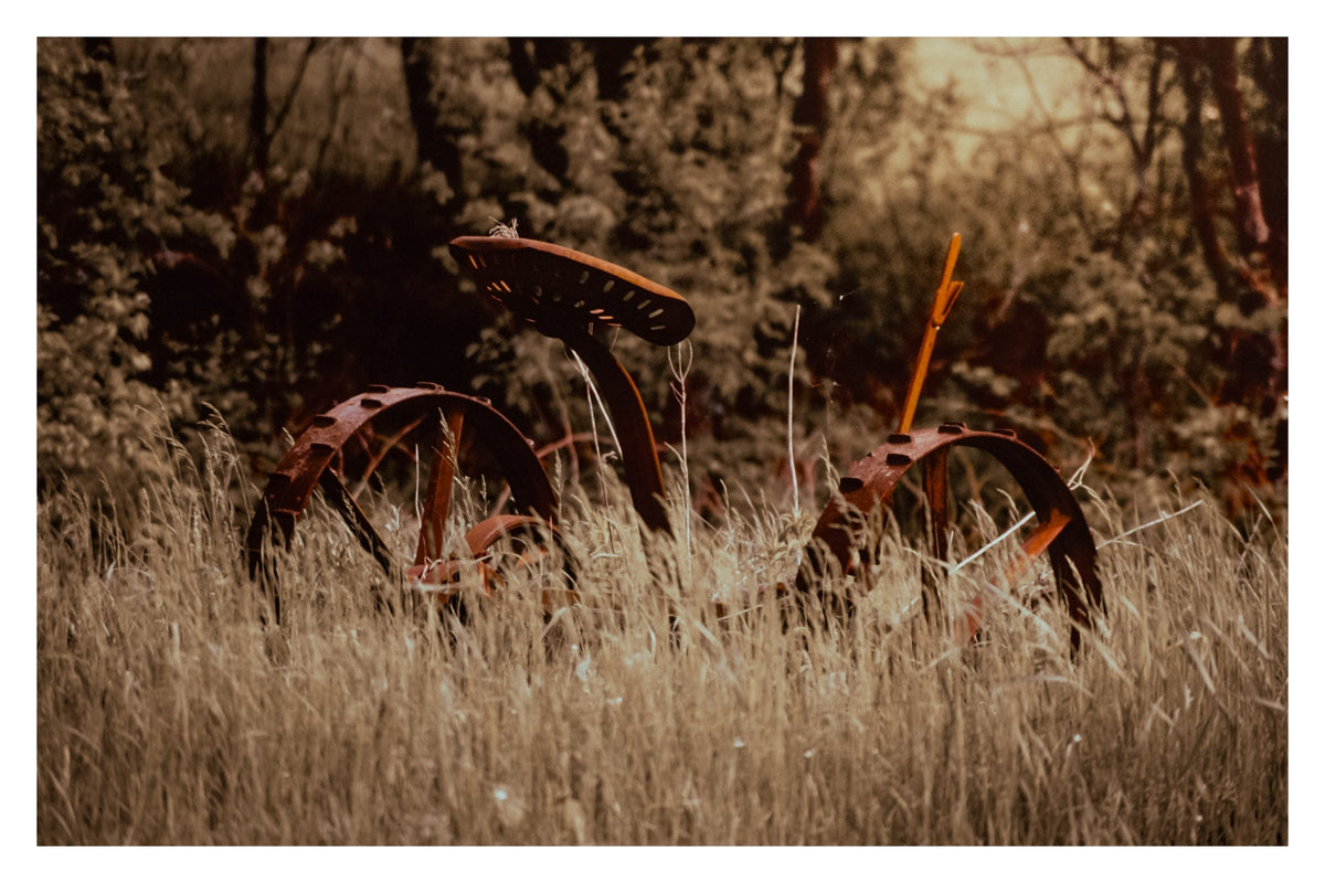 No More Mowing, Gallery Edition print: an old iron hay mower in tall, sun-faded grass, in warm sepia tones