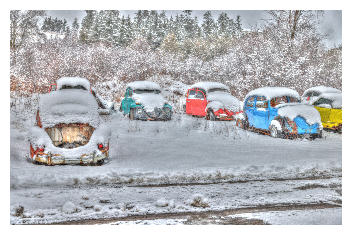 Row of colourful old Volkswagen Beetles snowed in at the edge of a winter forest — Winter Bugs Gallery Edition print with a white border