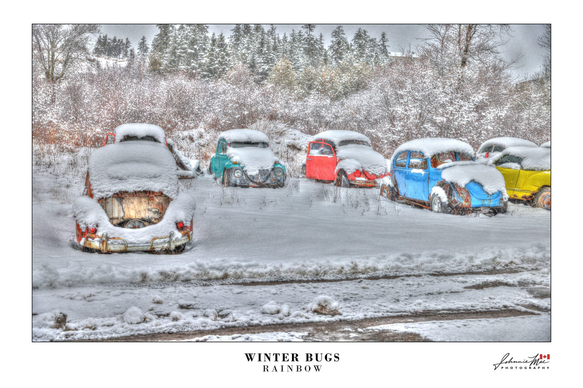 Rainbow-coloured vintage Volkswagen Beetle in the snow — Winter Bugs photo print