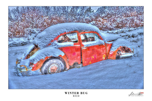 Vintage red Volkswagen Beetle in the snow — Winter Bug photo print