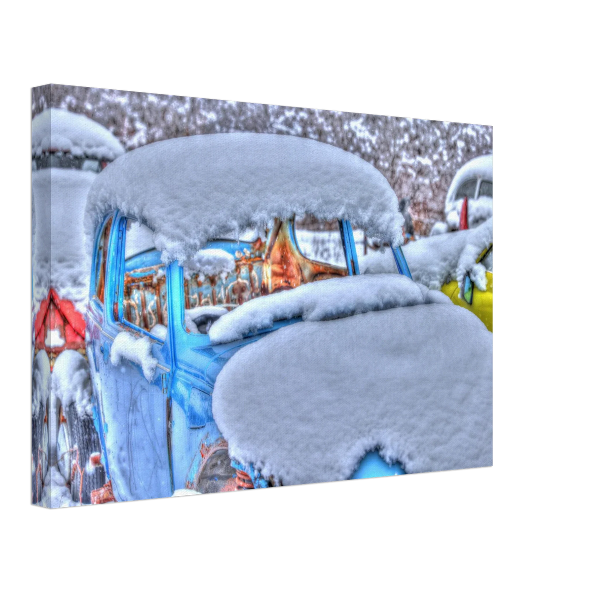 b2c02580-61cb-4915-95e5-5f6cd2c18bdf